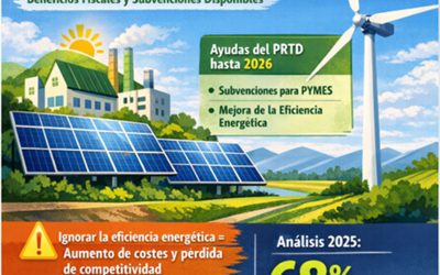 TRANSICIÓN ENERGÉTICA: NUEVAS OPORTUNIDADES PARA PYMES